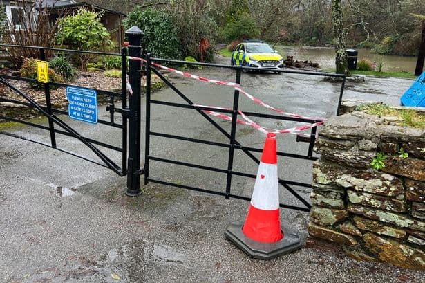 Bomb squad scrambled to quiet duck pond in Cornwall after terrifying discovery