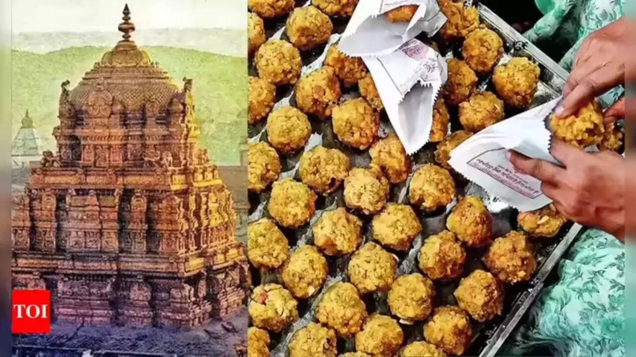'Ghee made from bathroom-cleaning chemicals': Naidu slams previous Jagan govt over Tirupati laddus