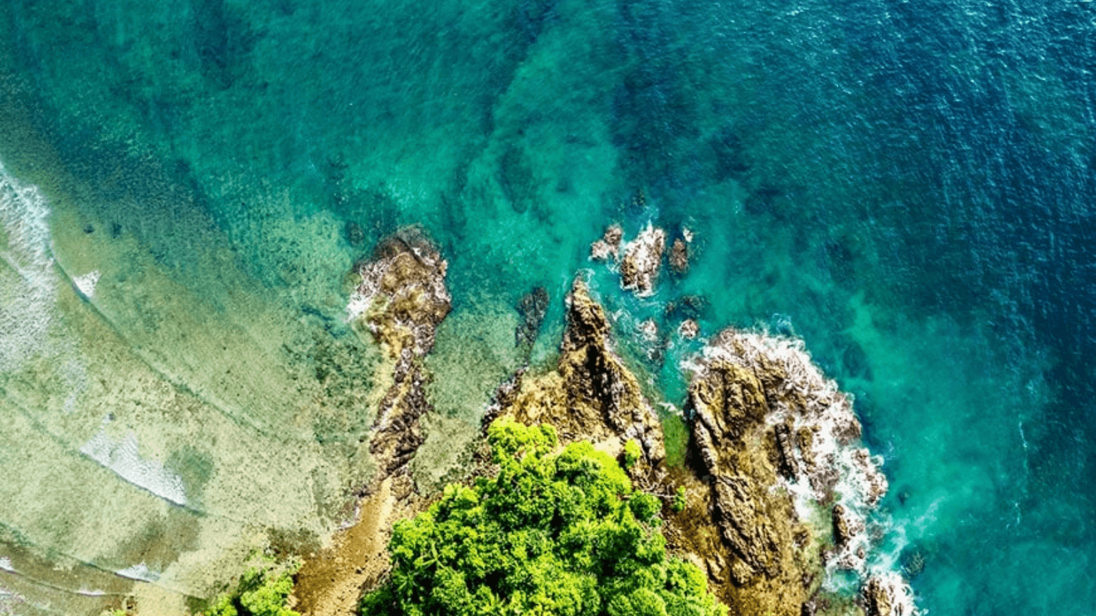 NGT nod thwarted Gandhis' bid to stall Nicobar plan: BJP