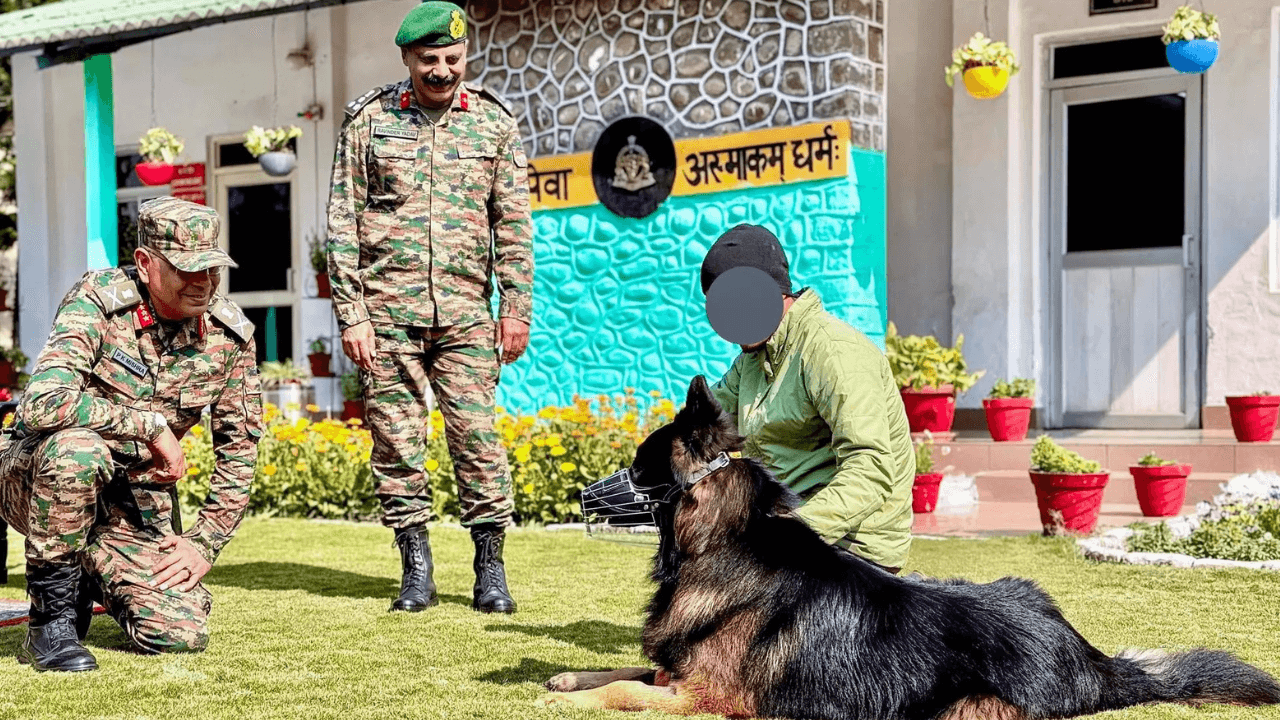 'Wounded yet in high spirits': Army shares update on dog Tyson who 'took the first bullet'