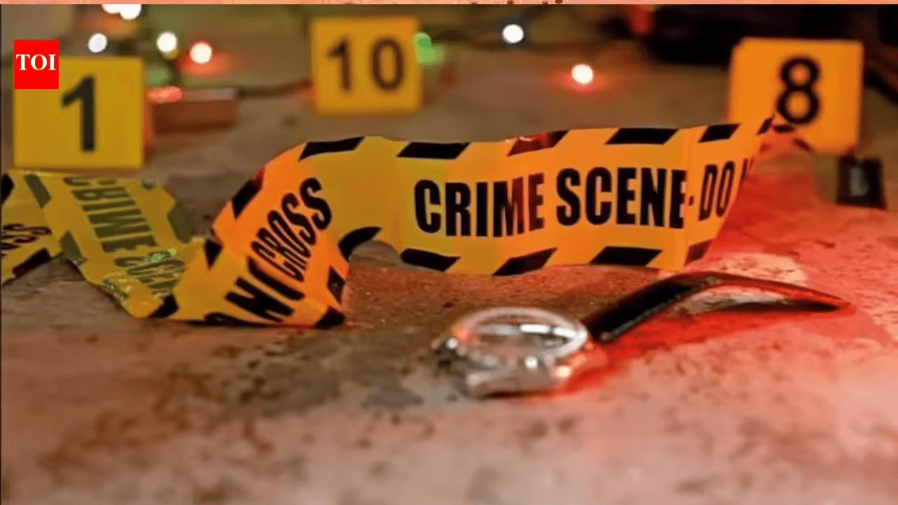 Attackers dance after hacking Bengaluru man 68 times with iron straps