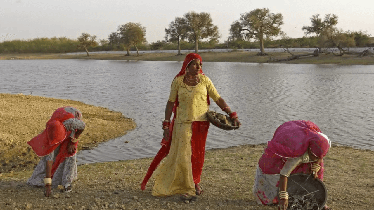 ​Blue saree brigade: Women at the heart of India’s water systems