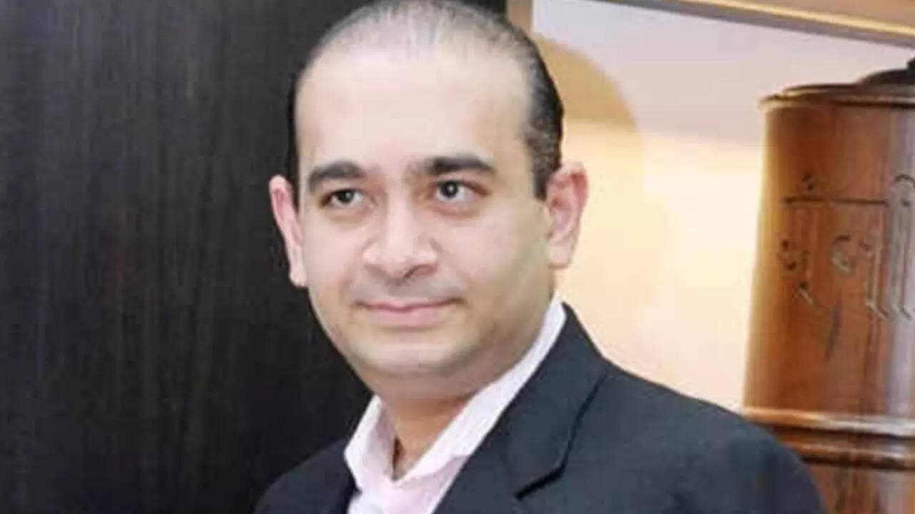 Nirav Modi defiant, blames CBI and ED for destroying his businesses