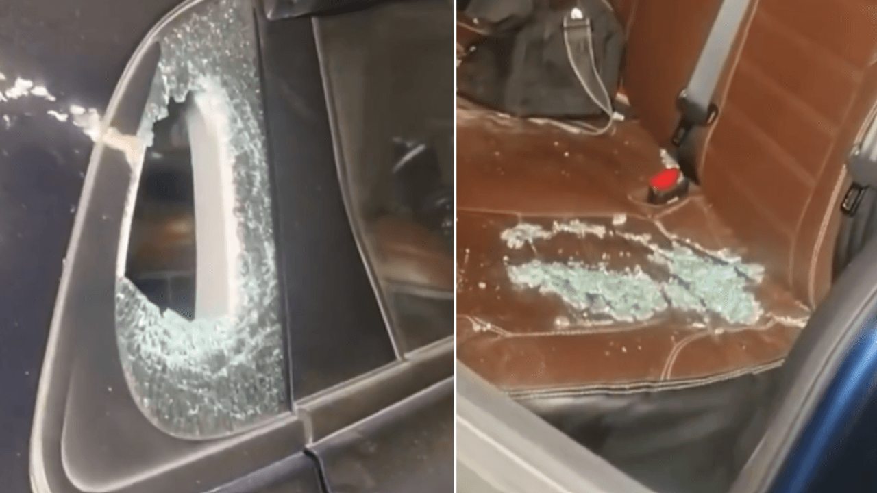 Judicial officers engaged in SIR gheraoed for hours: How Malda 'hostage' drama unfolded