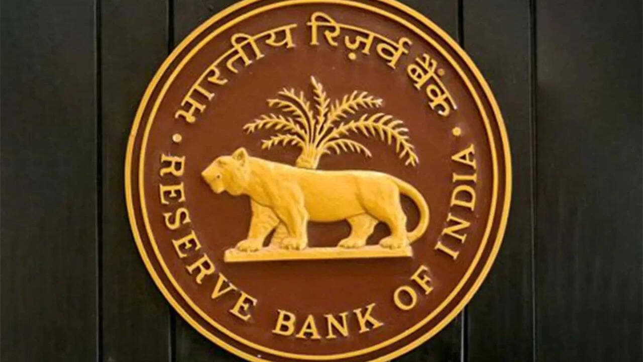 Payment lags can help curb digital fraud: RBI