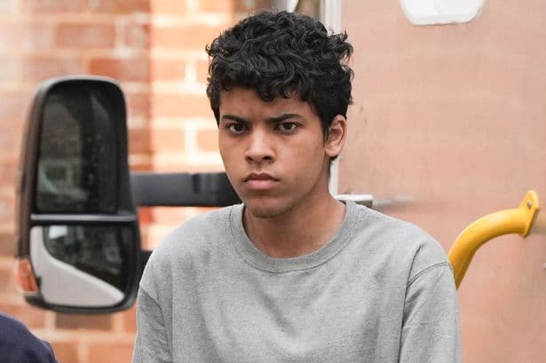 Man 'obsessed with horror movies and had Chucky doll collection' murdered his own dad