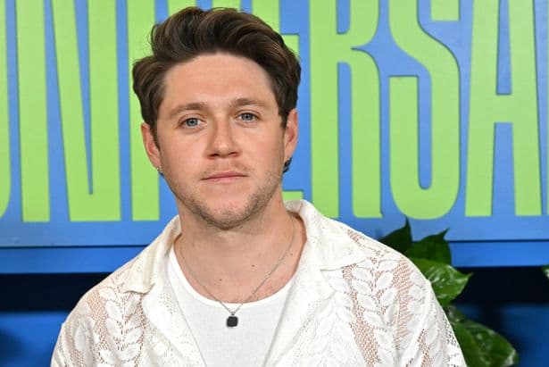 Niall Horan fears he'll need double hip operation in brutal health update