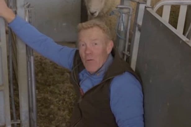 Countryfile fans all say the same thing as Adam Henson swears after painful sheep blunder