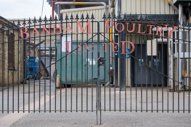 Major update after two workers found frozen to death at chicken factory