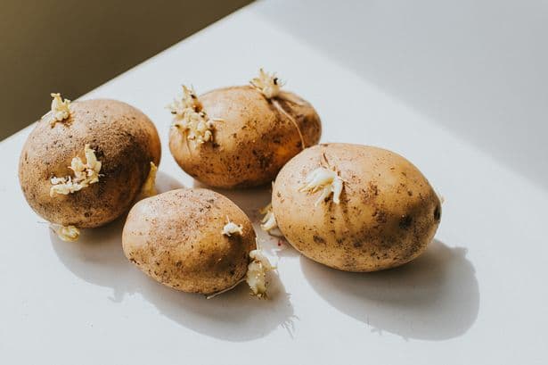 UK households advised to move potatoes away from other vegetables