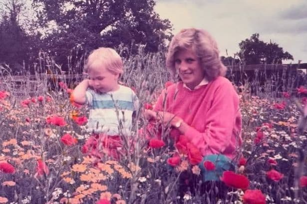 Prince William 'thinking of Diana today and everyday' with Mother’s Day post