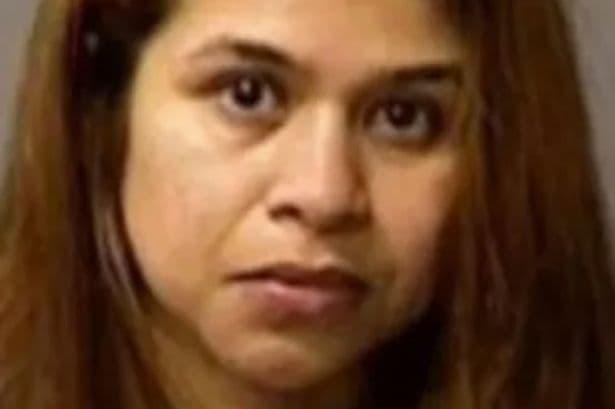 Couple 'punched and dragged girl, 11, on dog lead' during year of horror