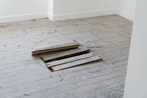 Woman hears scratching from floorboards when renovating home and makes jaw-dropping find