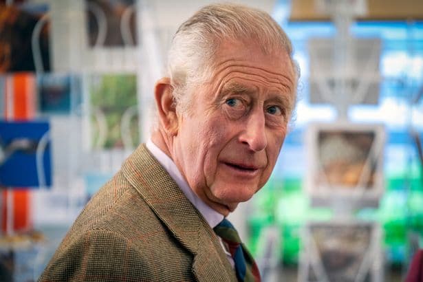 King Charles urged to meet Jeffrey Epstein victims on US visit by lawmaker