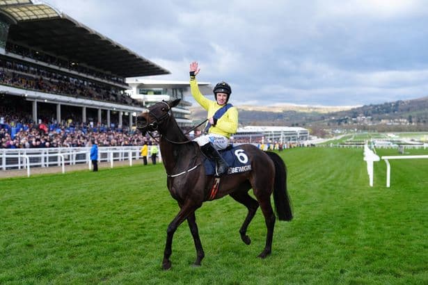 Cheltenham 2026: Champion Chase winner Marine Nationale ruled out after setback